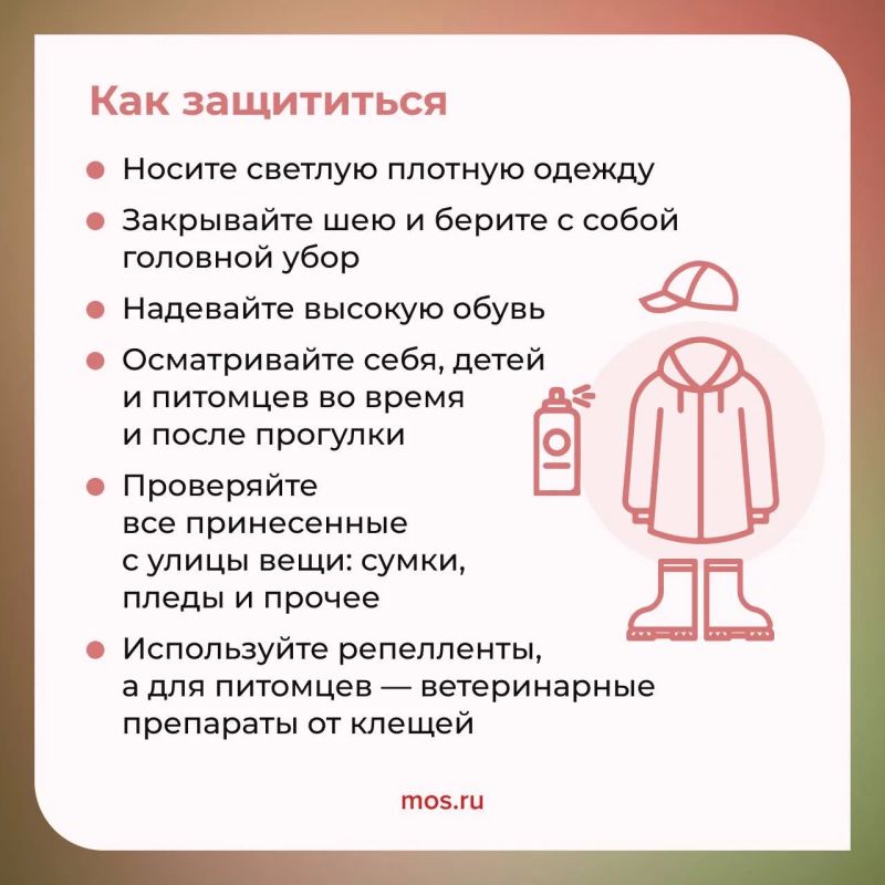 Отправляетесь на прогулку в парк или хотите провести выходные на природе? Тогда не забывайте о том, как обезопасить себя от клещей Отправляетесь на прогулку в парк или хотите провести выходные на природе? Тогда не забывайте о том, как обезопасить себя от клещей