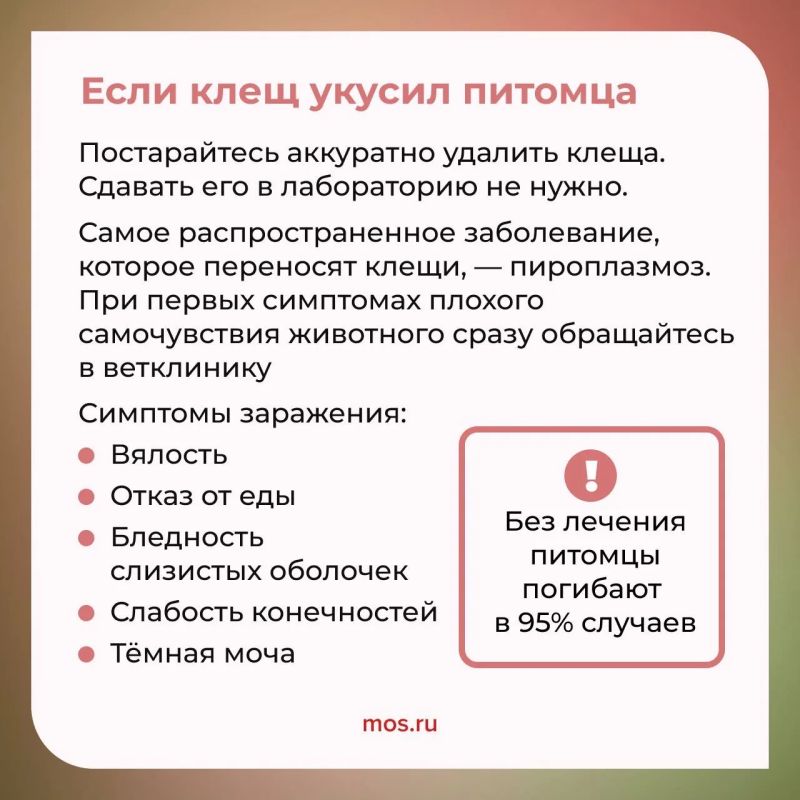 Отправляетесь на прогулку в парк или хотите провести выходные на природе? Тогда не забывайте о том, как обезопасить себя от клещей Отправляетесь на прогулку в парк или хотите провести выходные на природе? Тогда не забывайте о том, как обезопасить себя от клещей