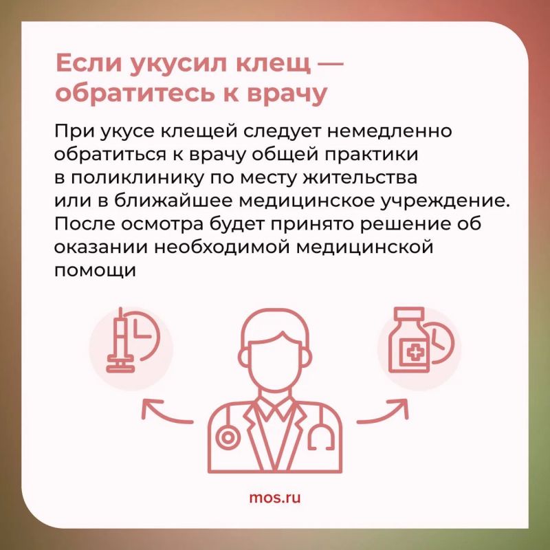 Отправляетесь на прогулку в парк или хотите провести выходные на природе? Тогда не забывайте о том, как обезопасить себя от клещей Отправляетесь на прогулку в парк или хотите провести выходные на природе? Тогда не забывайте о том, как обезопасить себя от клещей