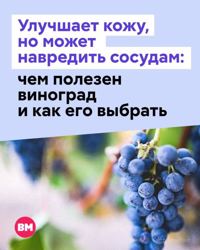 Виноград оказался не просто вкусным перекусом, а почти «ягодой красоты»