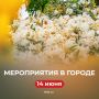 Вот и настал последний день выходных… Не печалимся, а идем на городские площадки!