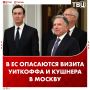 ЕС боится визита Уиткоффа и Кушнера в Москву