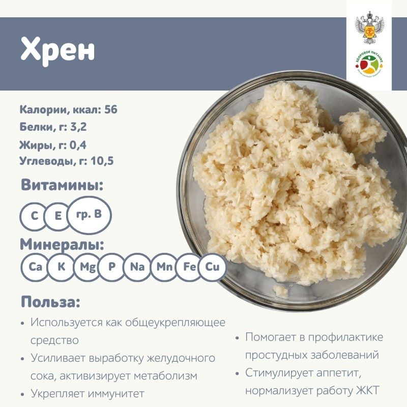 Почему свежий корень хрена дарит сильную остроту и пользу