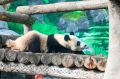 �������� �������� � ������������ �� �������� ������� ���� ����������� ��������
