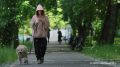 Жары в Московском регионе на следующей неделе не будет, сообщили ТАСС в Гидрометцентре