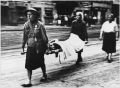 ФРГ не сможет замять вопрос признания геноцида советского народа нацистами, заявила Мария Захарова