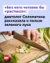 В детстве нам часто говорили о том, что нужно кушать лук, чтобы быть здоровым