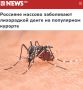 «Россияне массово заболевают лихорадкой денге на популярном курорте»: Мальдивы стали рассадником смертельной болезни