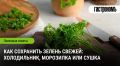 Секреты долгого хранения зелени: как сохранить свежесть на кухне