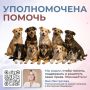 ��� ����������: ������ � ����������������� ������� ������������ ������� � ����