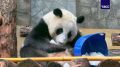 � ���� ������ ������ ���� ��� ����� ������ ����������� ������� � �����, ����������� �����