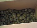 476 ������ ������� ������ � ��������� � ����������
