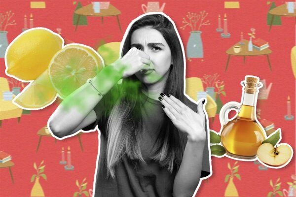 Как быстро и без химии убрать запахи из квартиры: 5 простых методов