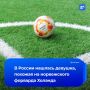 «Русскую сестру» Эрлинга Холанда нашли в соцсетях