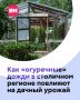 Если вы думали, что бывают только грибные дожди, то есть еще подвид осадков