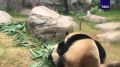 ����� ������ ����������� �������� � ������ ����� � �������, ��� ��� ���������� ������� ��������� � ����� �������� ����� � ����