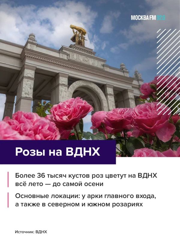 Цветом сезона внезапно стал РОЗОВЫЙ Цветом сезона внезапно стал РОЗОВЫЙ