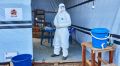В Республике Конго зафиксировали вспышку вируса Эбола