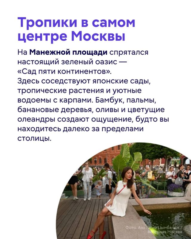 Москва этим летом буквально превратилась в огромный цветущий сад Москва этим летом буквально превратилась в огромный цветущий сад