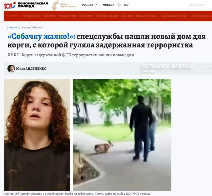 «Собаку в приют не сдадут»: силовики нашли новую семью для корги задержанной в Москве шпионки СБУ «Собаку в приют не сдадут»: силовики нашли новую семью для корги задержанной в Москве шпионки СБУ