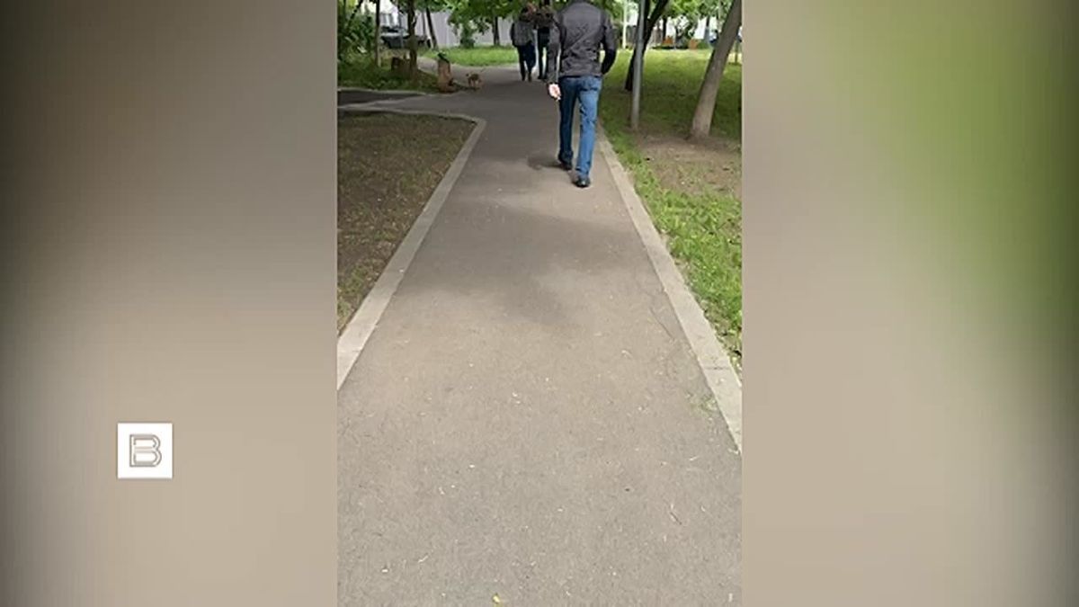 Юрий Котенок: ФСБ сообщает о предотвращении теракта против высокопоставленного российского военнослужащего