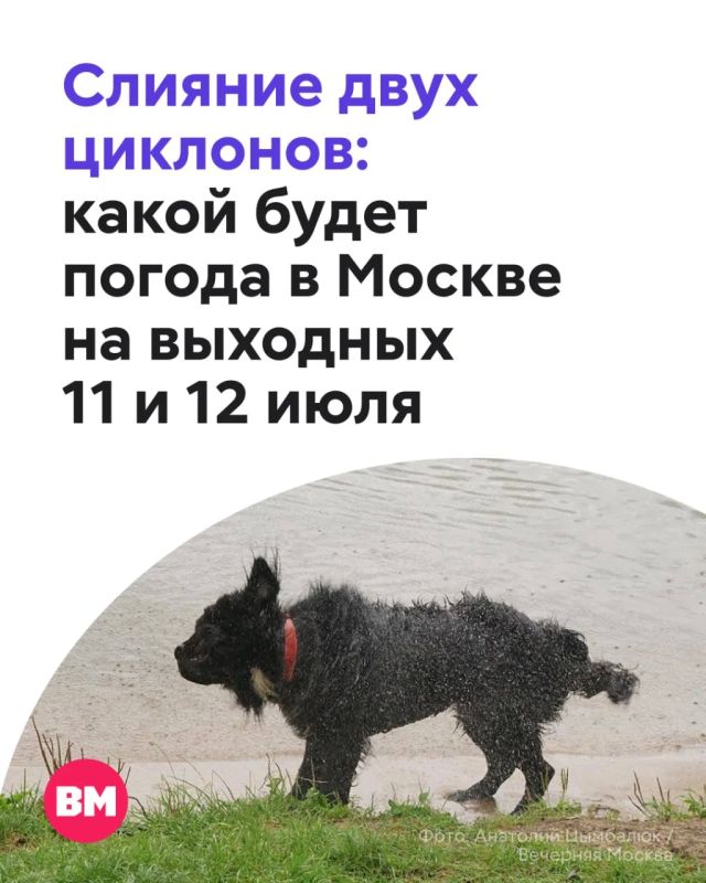В Сети пугают аномальными ливнями, градом и шквалистым ветром из-за циклона «Бернадетт»