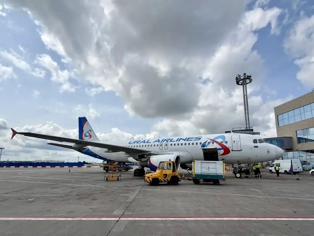 Домодедовские таможенники оформили первые авиарейсы в Абхазию