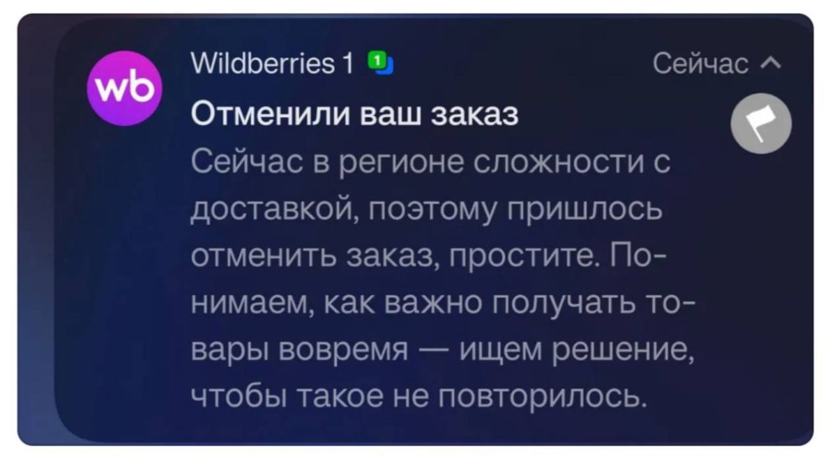 Информация о проблеме с доставкой заказов Wildberries из-за ситуации с топливом не соответствует действительности, сообщили «Москве 24» в компании