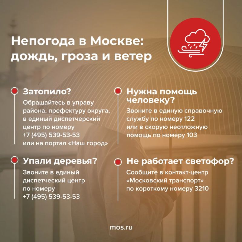 Городские службы ликвидируют последствия непогоды