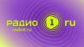 Голос тех, кто лечит хвостатых героев с лапами: интервью ветеринарного фельдшера столичного главка Росгвардии
