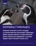 ТАСС собрал интересные факты о милых обитателях Московского зоопарка
