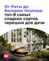 Мало того, что черешня — ягода, которую хочется есть без остановки, так она еще и полезная!