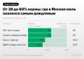 Прошедшие выходные в Москве отметились сильными ливнями, а всего с начала месяца на столичных метеостанциях выпало от 38% до 60% месячной нормы осадков