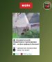 Фейк: Из-за дефицита топлива москвичи пересели на лошадей