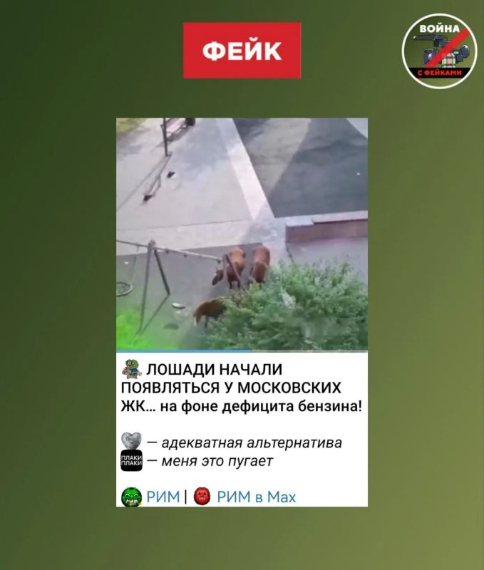 Фейк: Из-за дефицита топлива москвичи пересели на лошадей
