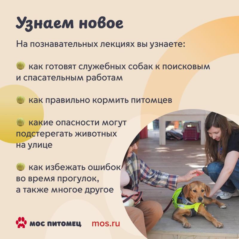 Найти четвероногого друга, осуществить желания пушистиков и просто хорошо провести время среди животных — все это можно будет сделать на фестивале «Моспитомец» Найти четвероногого друга, осуществить желания пушистиков и просто хорошо провести время среди животных — все это можно будет сделать на фестивале «Моспитомец»