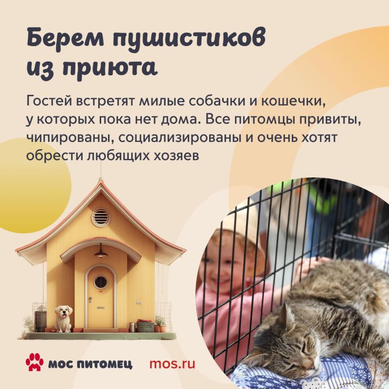 Найти четвероногого друга, осуществить желания пушистиков и просто хорошо провести время среди животных — все это можно будет сделать на фестивале «Моспитомец» Найти четвероногого друга, осуществить желания пушистиков и просто хорошо провести время среди животных — все это можно будет сделать на фестивале «Моспитомец»