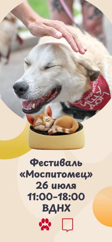 Найти четвероногого друга, осуществить желания пушистиков и просто хорошо провести время среди животных — все это можно будет сделать на фестивале «Моспитомец»