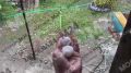 Гигантский град накрыл Краснодарский край