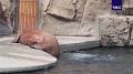 В выходные температура в Москве обещает приблизиться к +30°C