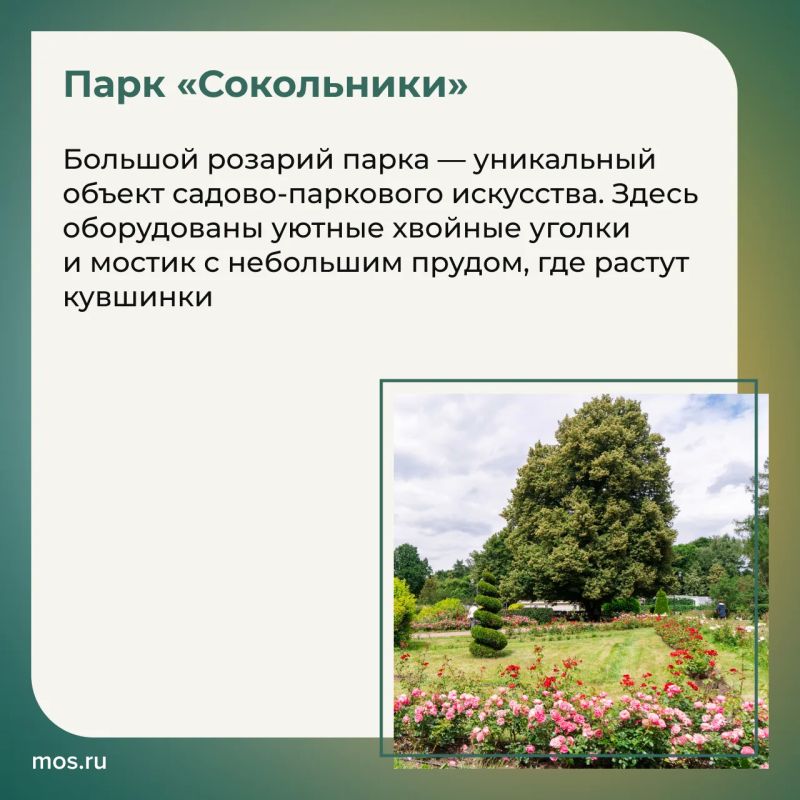 Парки Москвы — отличные места для свиданий Парки Москвы — отличные места для свиданий