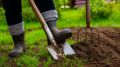 Осень – пора для превращения почвы: как дрожжи помогут вашим грядкам