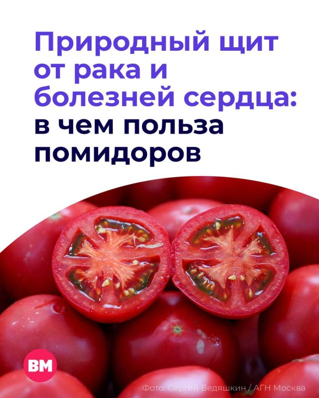 Многие не любят помидоры за их специфическую текстуру со скользкими семенами и насыщенный кисловато-сладкий вкус
