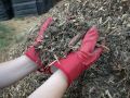 Мульчирование: секретный трюк садоводов, который не стоит игнорировать