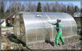 Эффективная весенняя подготовка теплицы