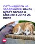 Я так хочу, чтобы лето не кончалось…