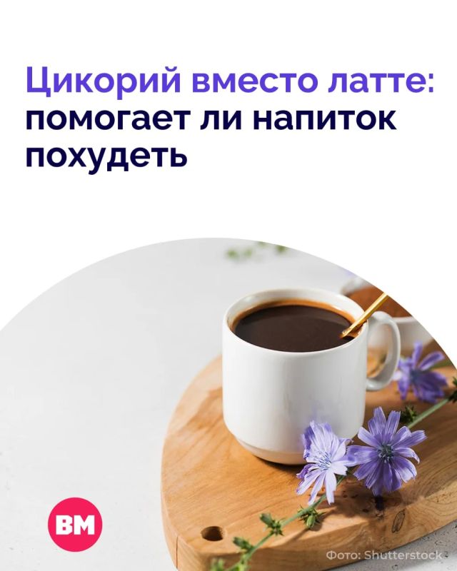 В соцсетях набирает обороты неожиданный тренд: блогеры переходят на цикорий и уверяют, что с ним можно похудеть на 5 кг за месяц