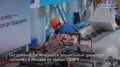 Московский городской транспорт преодолел знаковый рубеж: на линию вышел 3000-й российский электробус
