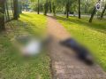 В Москве вынесен приговор организатору приготовления к убийству двух мужчин