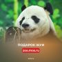 Пришло время подводить итоги